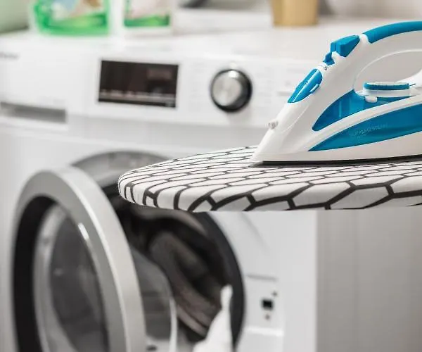 Pineapple - Zwinger Ix - 80qm - 1x Free Parking