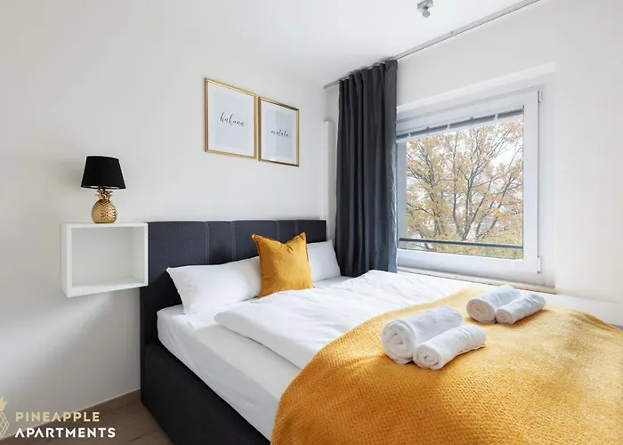 Apartment Pineapple - Zwinger Ix - 80qm - 1x Free Parking *